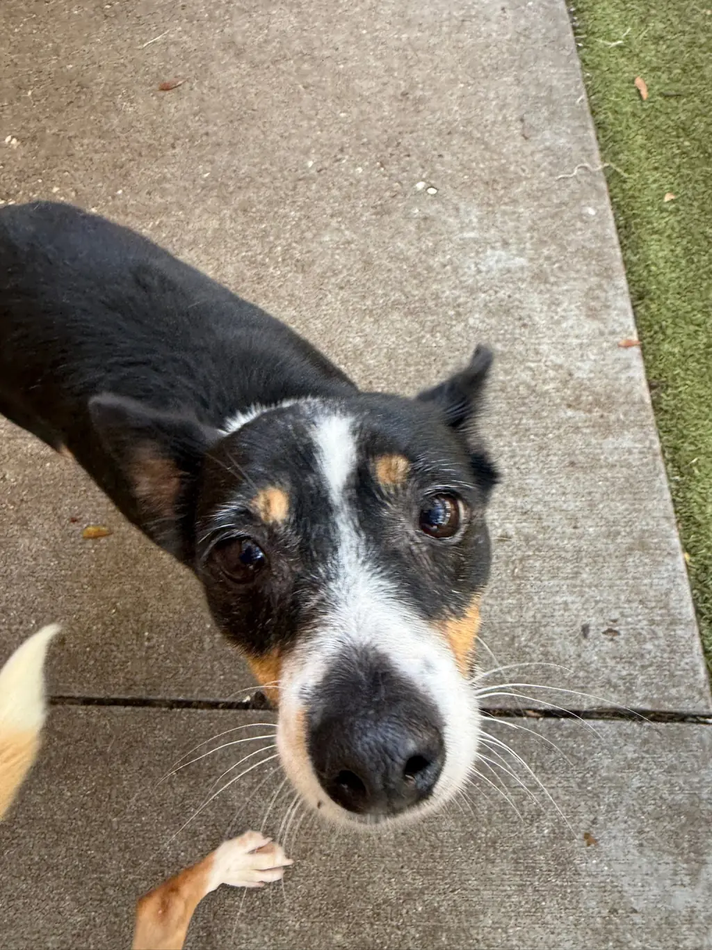 Ellie Mae