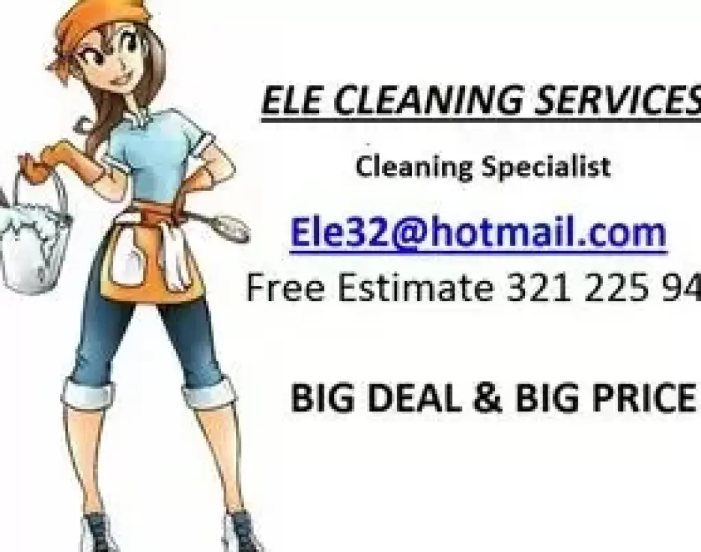 ele cleaning services