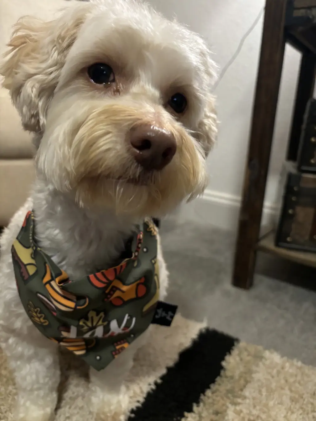 Jax