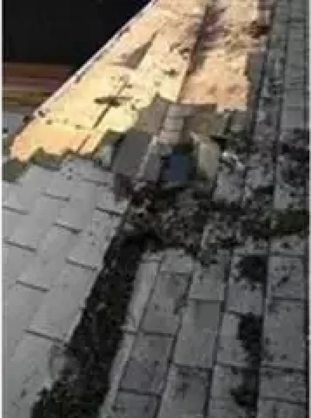 LOS MEGORES PRECIOS DR ROOFING