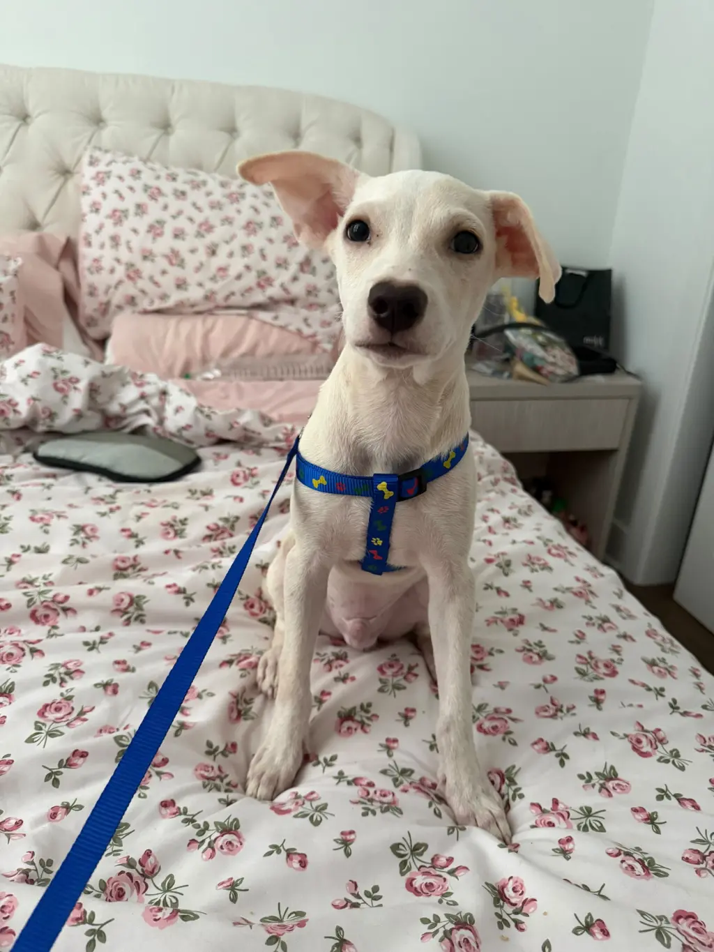 Sam