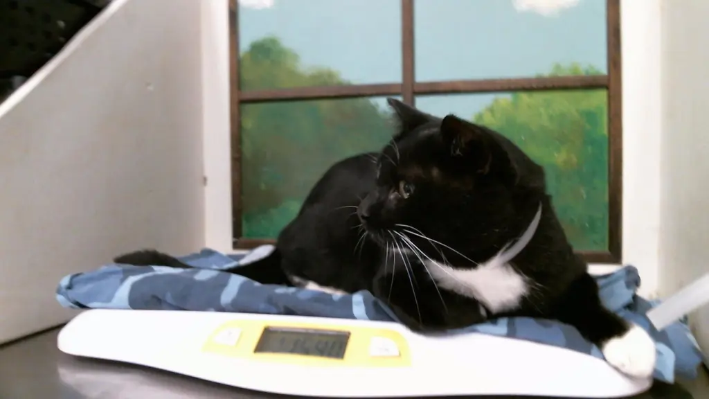 OREO