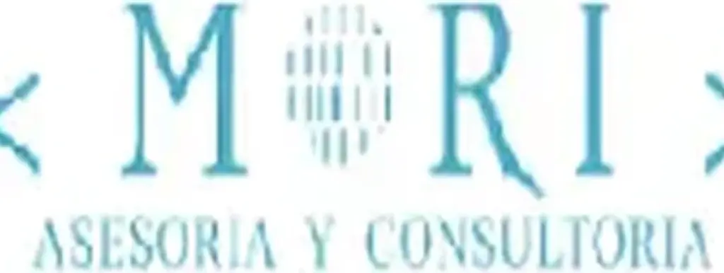 Asesoría- Desarrollo de Tesis