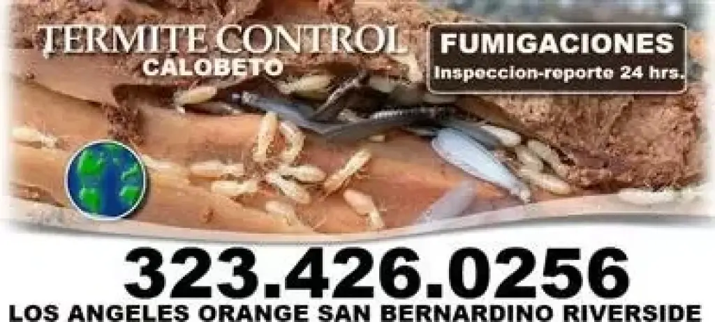 Termites Orange County 24/7