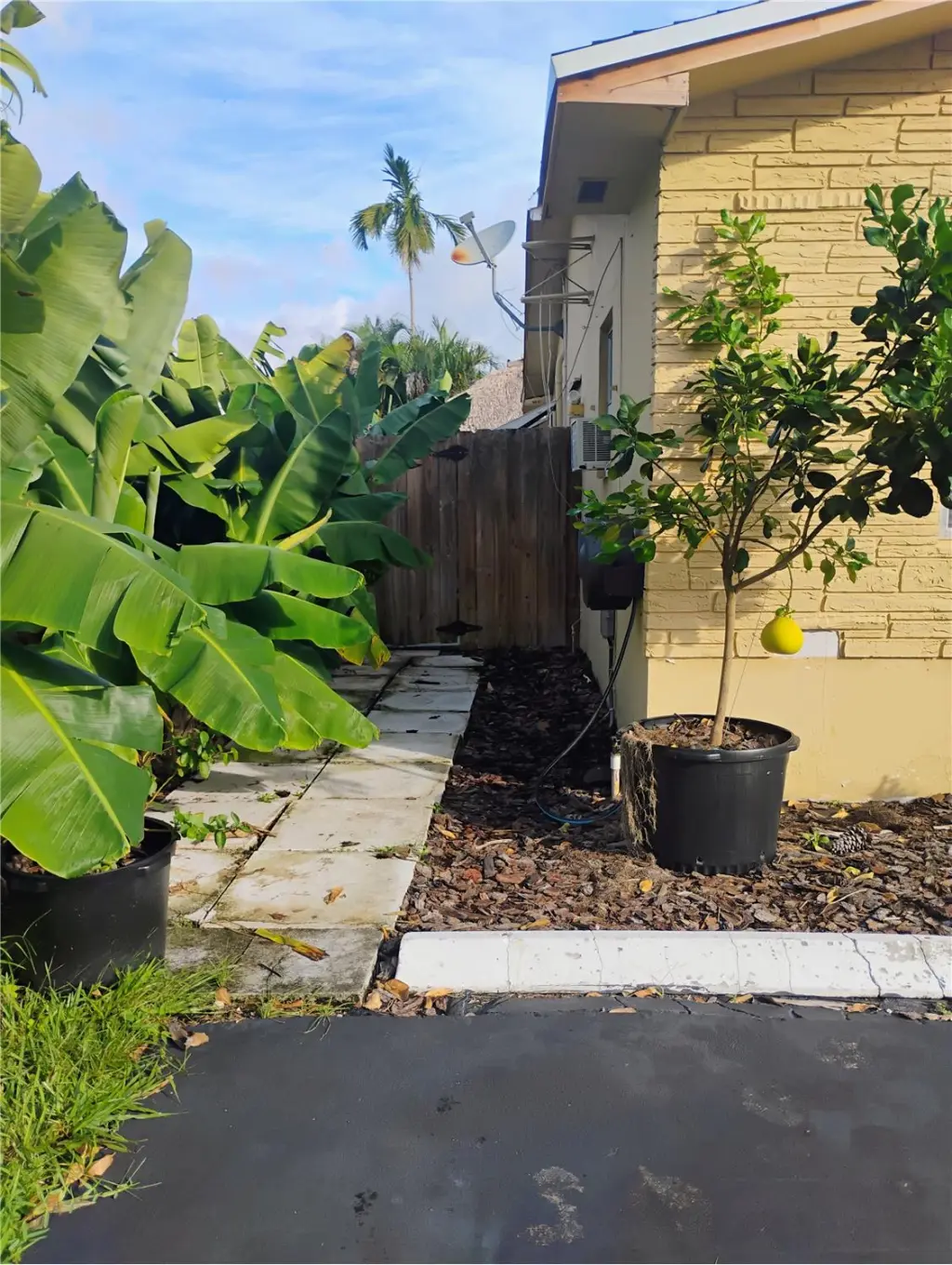 Propiedad en alquiler con 1 dormitorio y 1 baño en Hollywood
