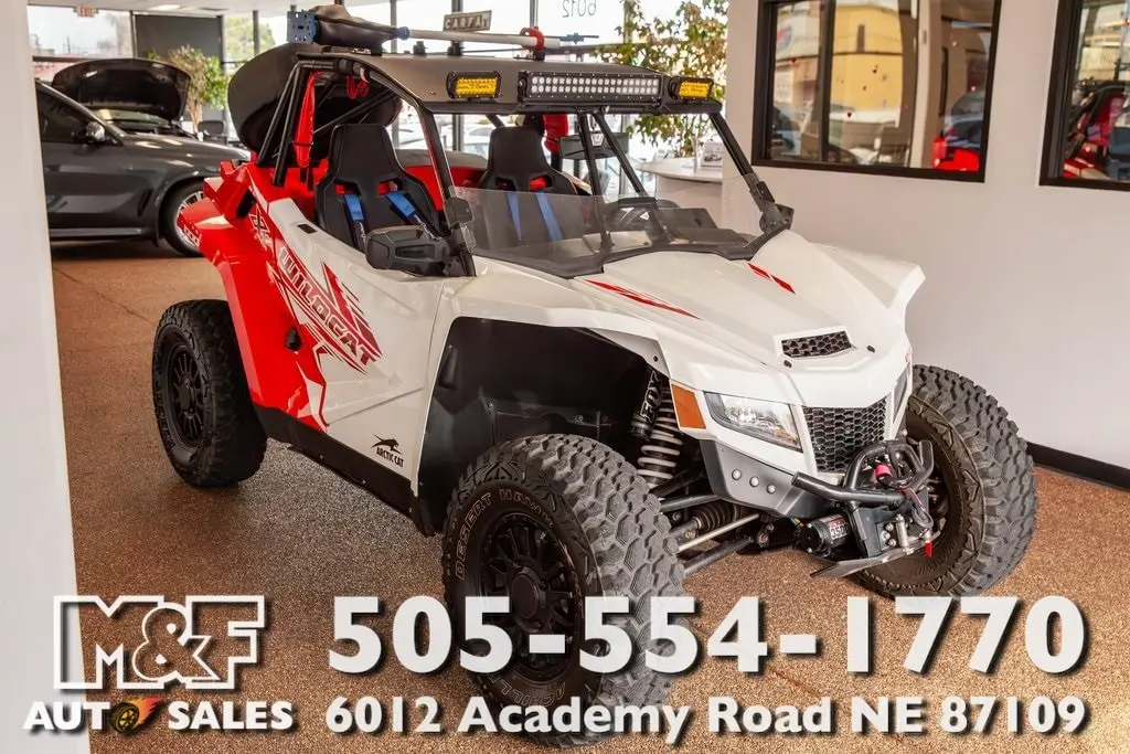 2020 Arctic Cat Wildcat XX 1000