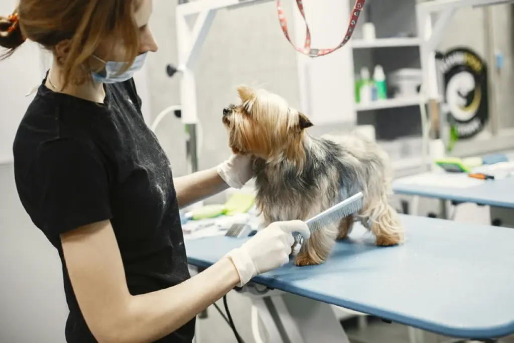 Salon Estetica Canina Broward