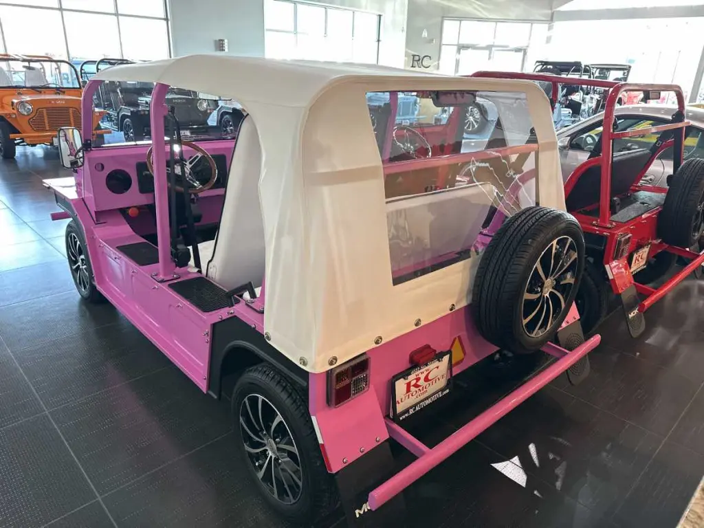 2022 Moke LSV 
