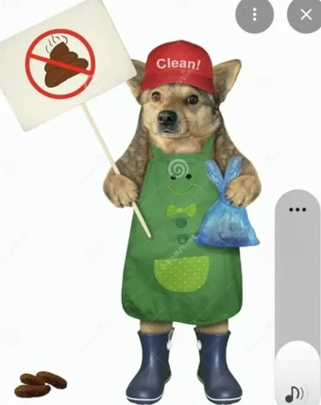 Limpieza dog 💩 poop limpieza