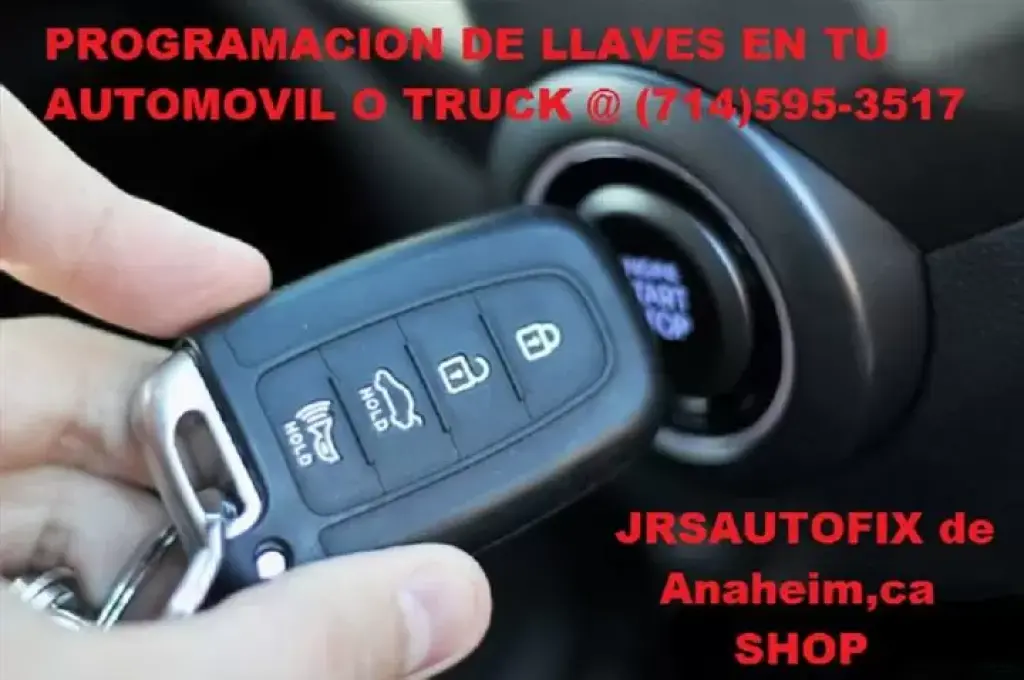 Programo Llaves y Remotos x 60
