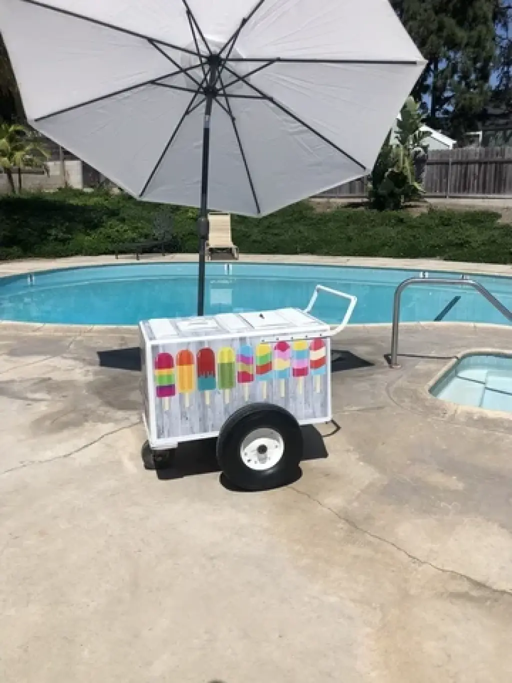 Paletas de hielo para fiestas