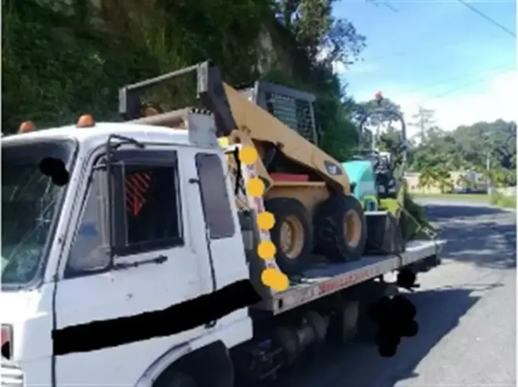 Gruas emanuel
