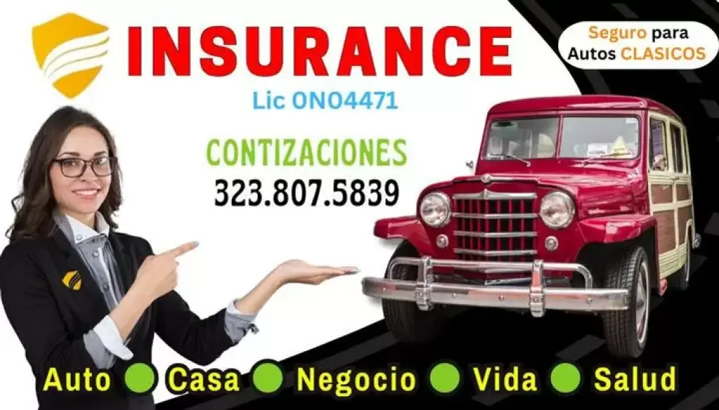 NOTARY SERVICE & SEGUROS AUTO