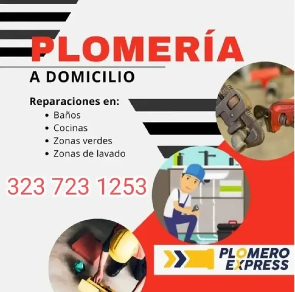 PLOMEROS 323 723 1253 EL BATAN
