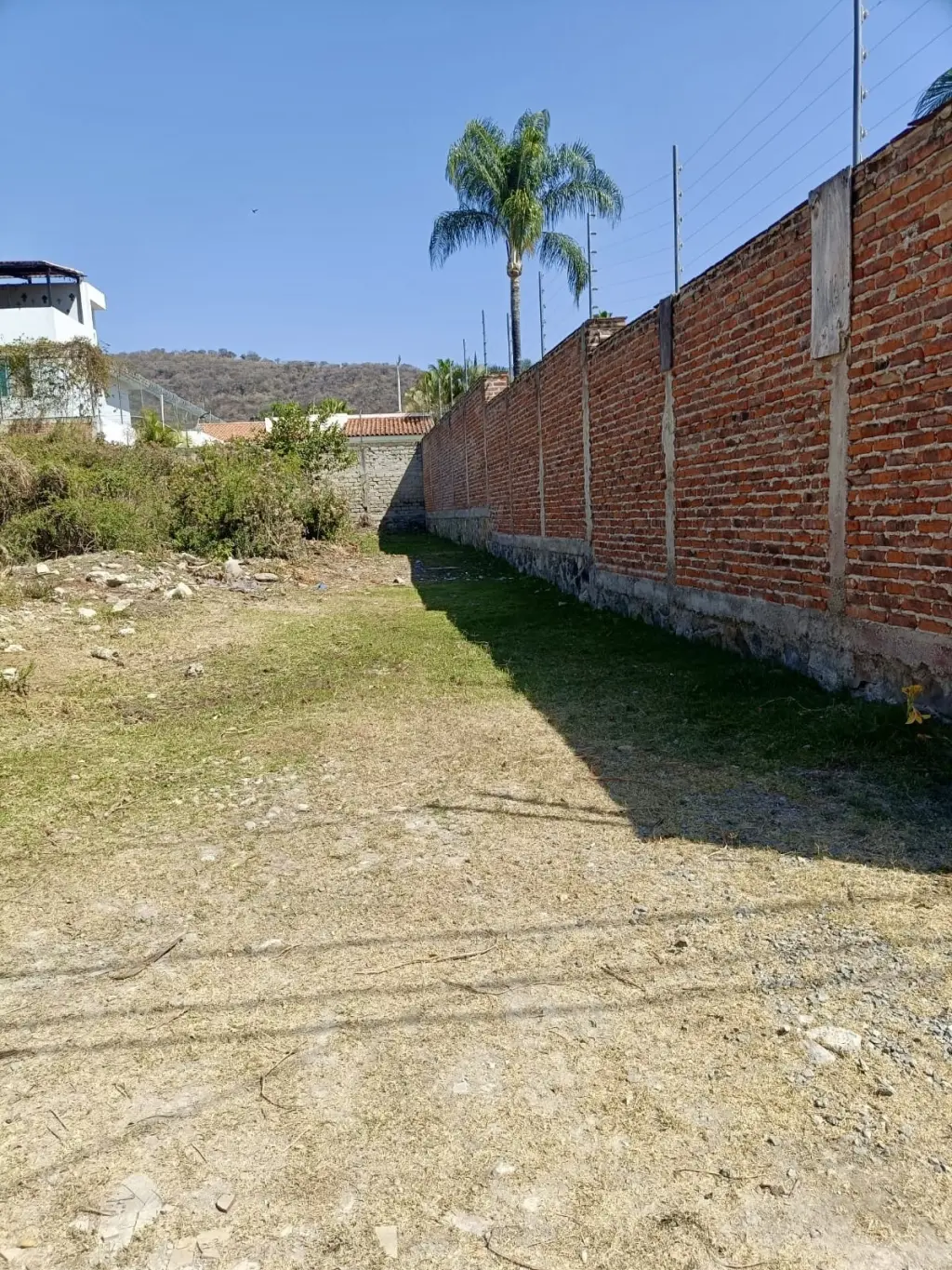 Lote Amelia