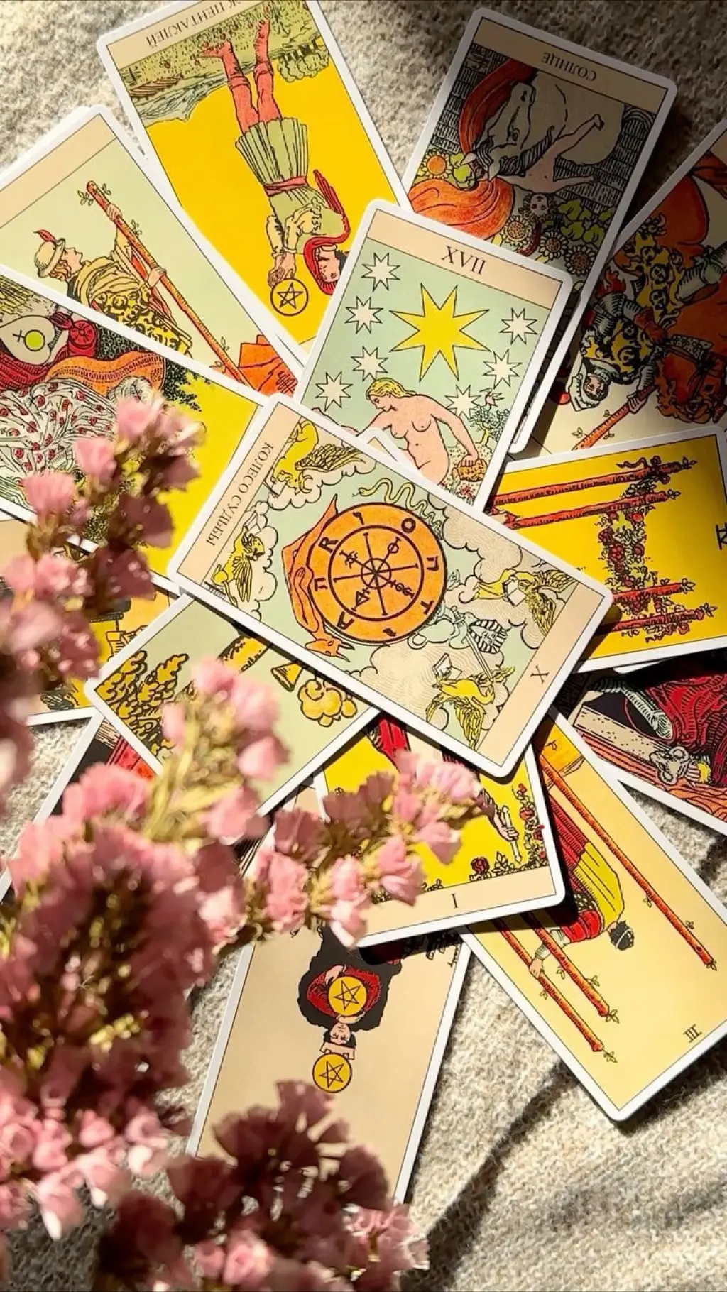 Lectura de Tarot y Servicios Esotéricos