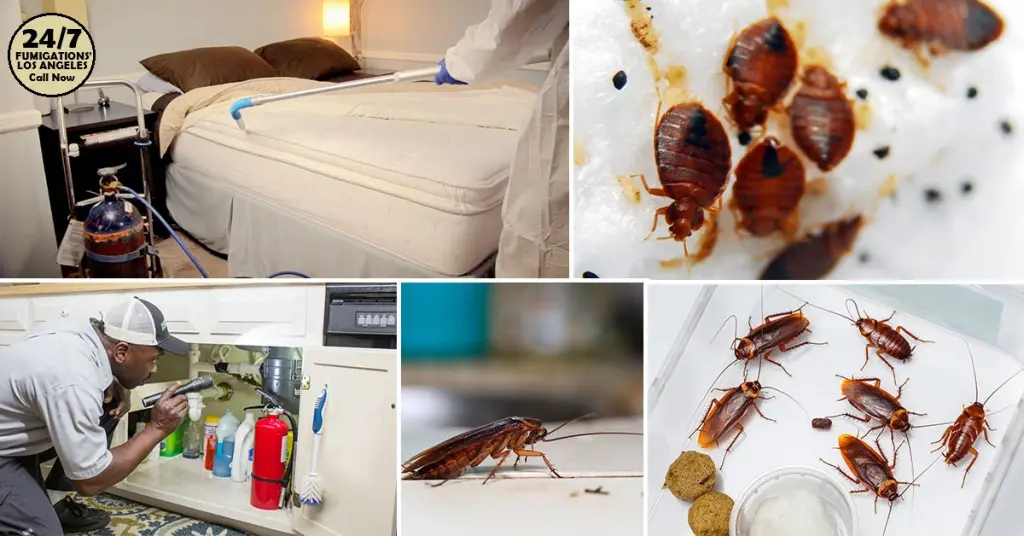 FUMIGACIONES ~ EXTERMINADORES LOS ANGELES.-