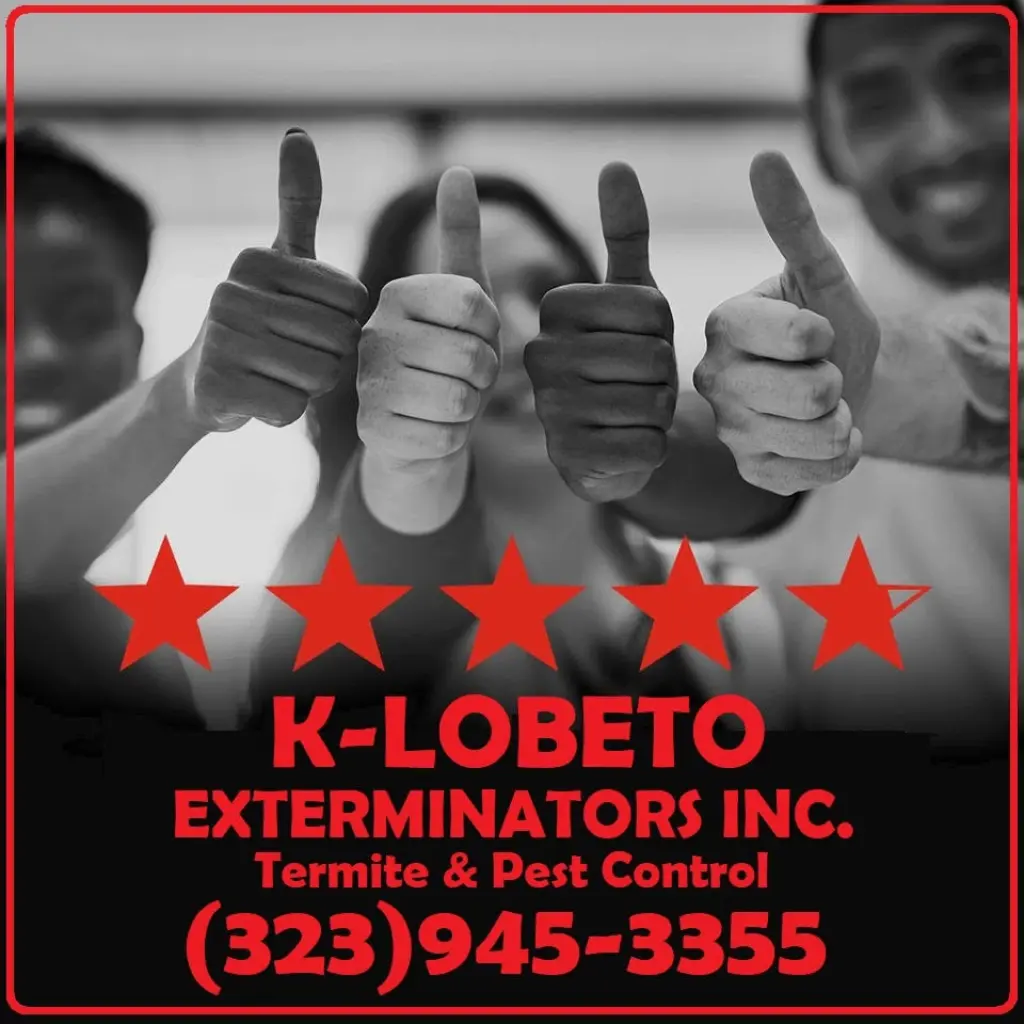 FUMIGACIONES 24/7.- RESIDENCIALES Y COMERCIALES.-