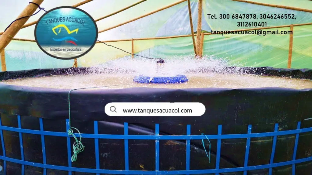 Tanque de Acuicultura para Cría de Peces