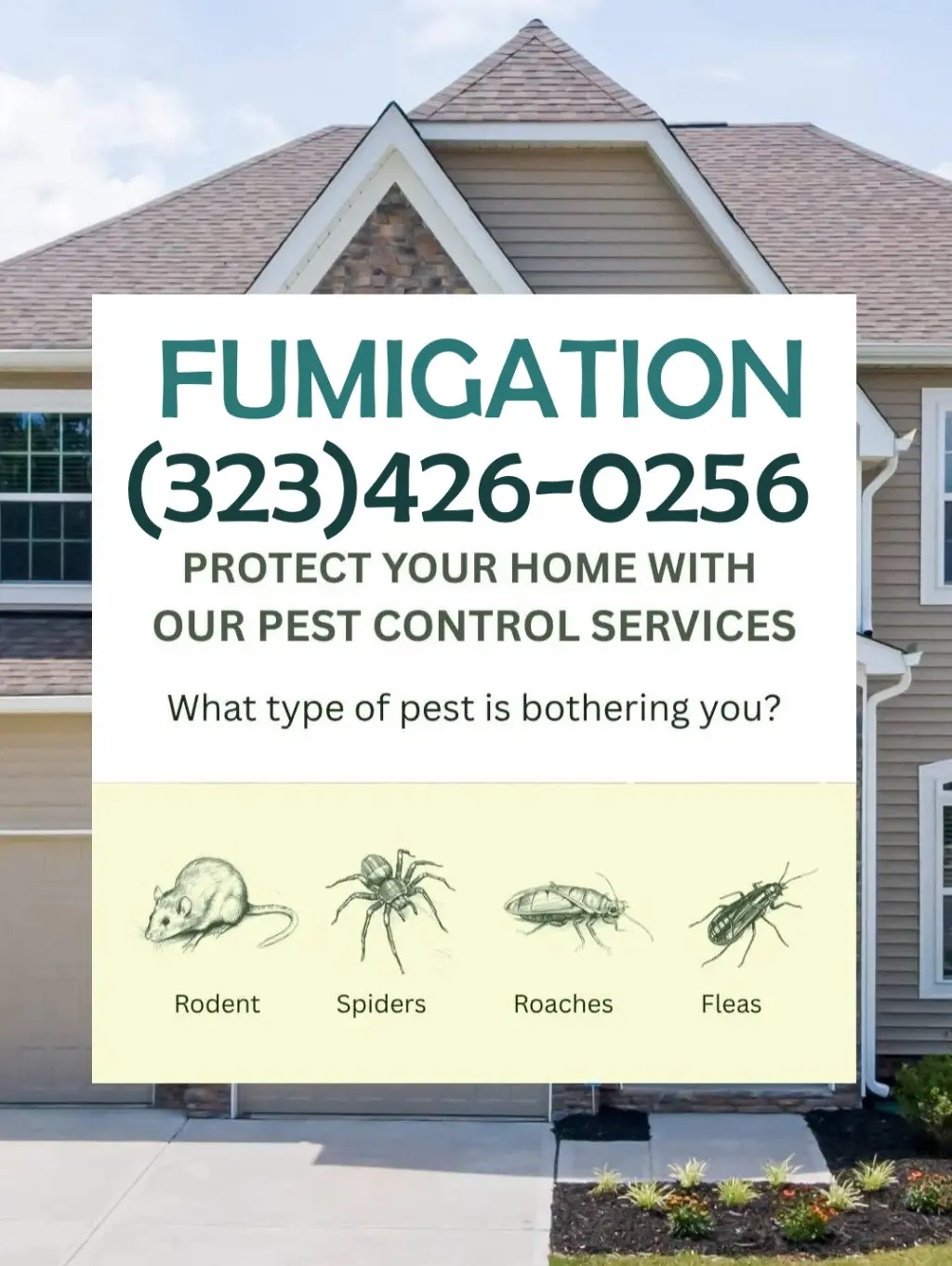 FUMIGACIONES TERMITAS - PLAGAS EN GENERAL LOS ANGELES Y AREAS CERCANAS.-