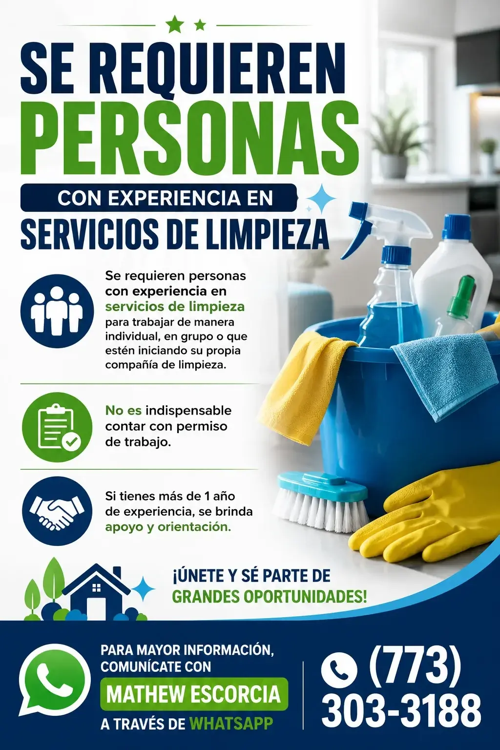 Necesito servicios de limpieza
