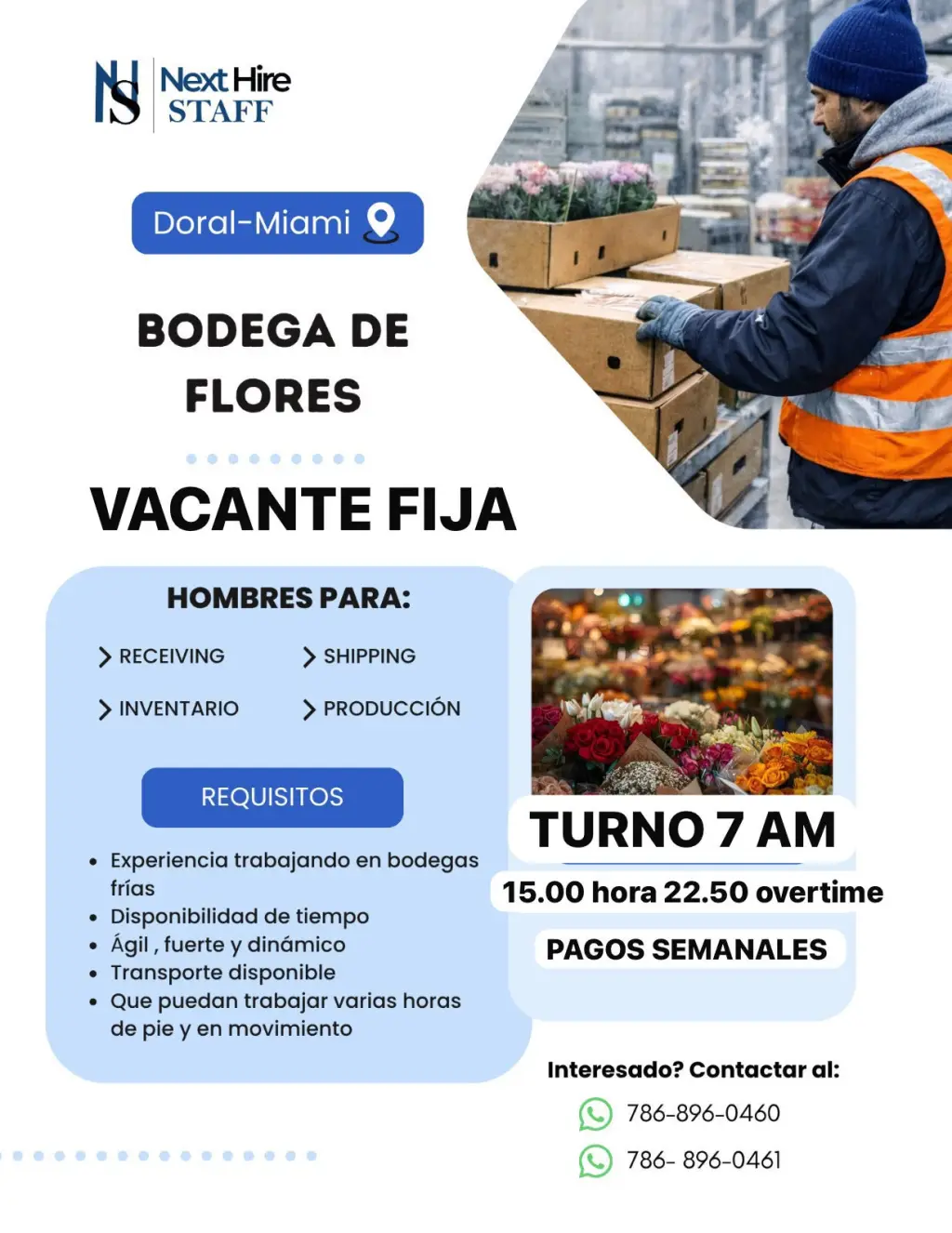 Trabajo fijo en bodega