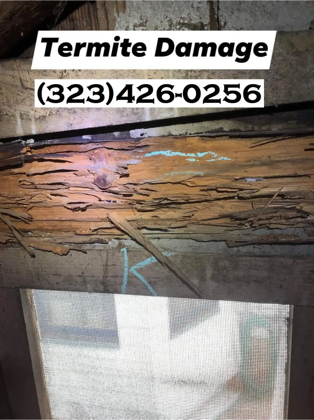 EXTERMINADORES TERMITAS LOS ANGELES.-