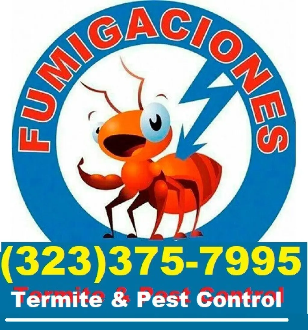 FUMIGACIONES