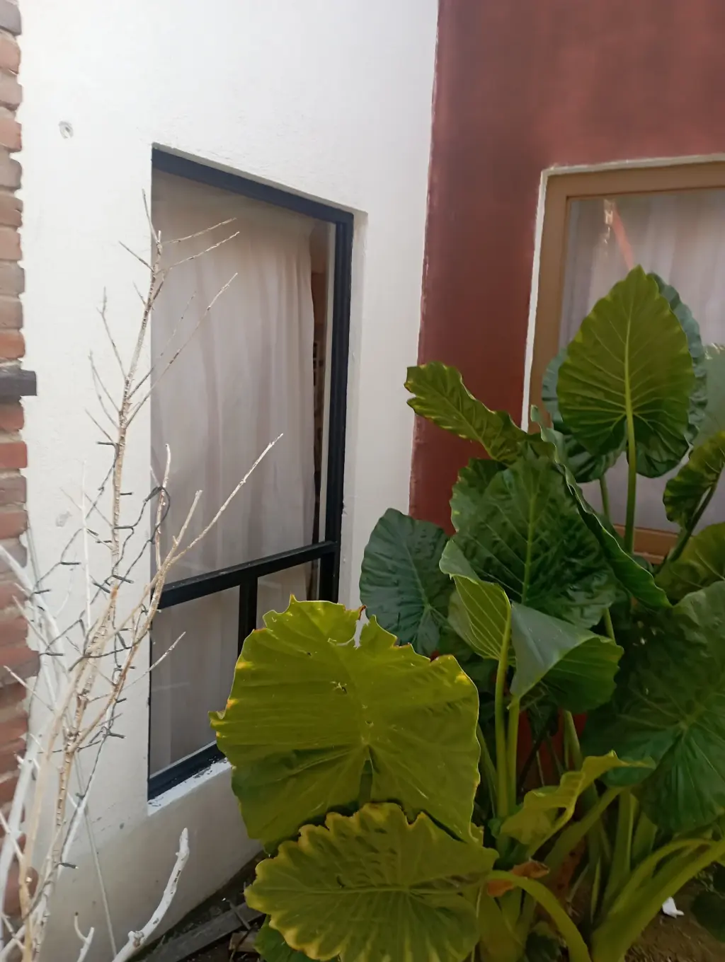 Venta de casa