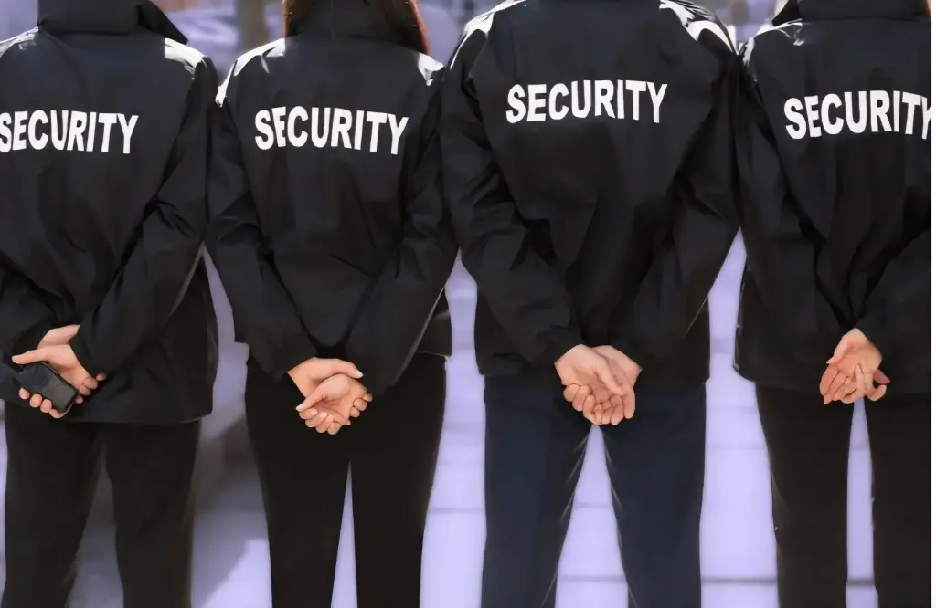 Servicios de Seguridad Profesional Disponibles