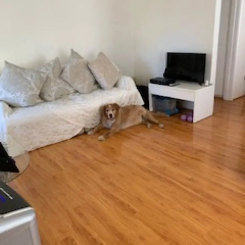 room For Rent In Glendale California