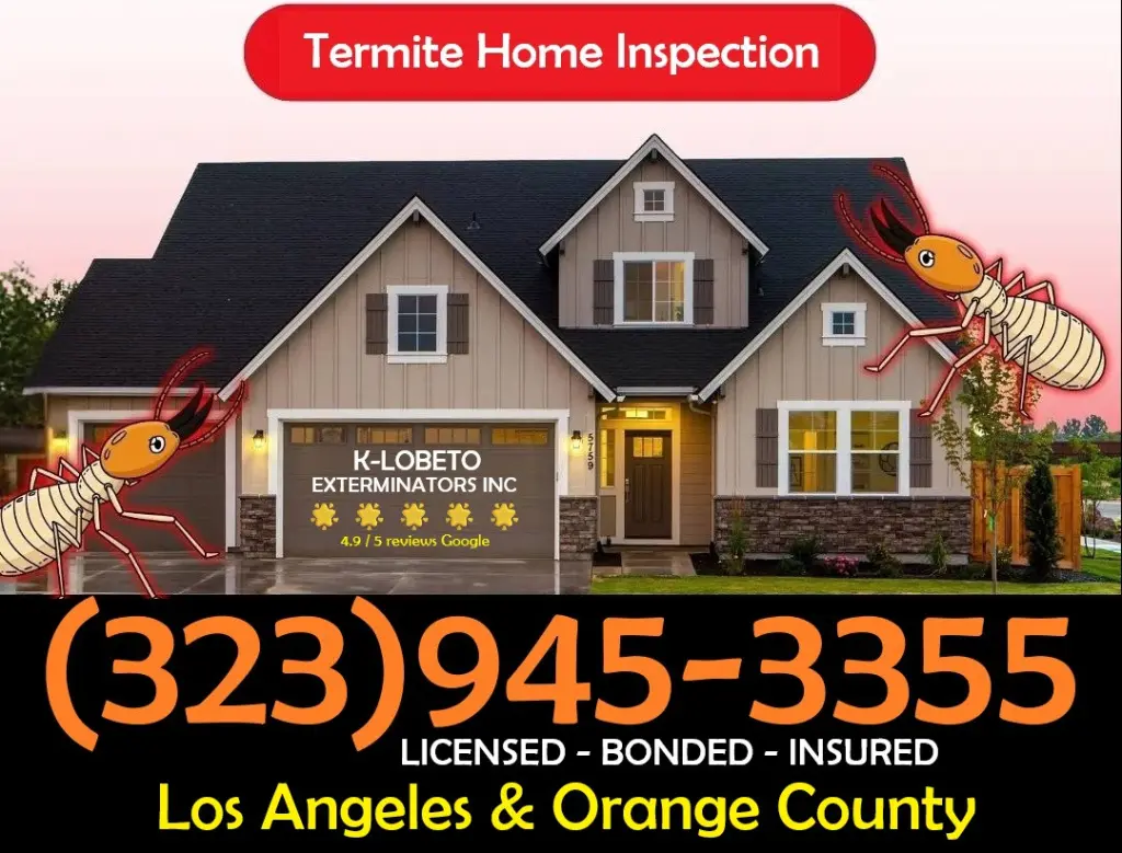 FUMIGACIONES TERMITAS LOS ANGELES