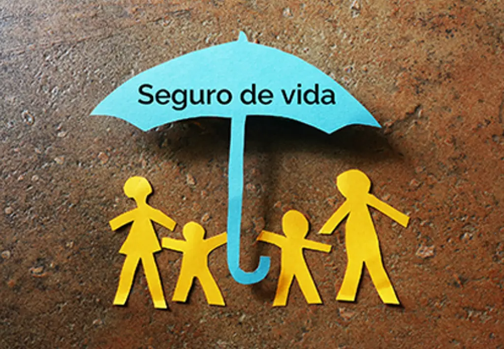 Agente de Seguros