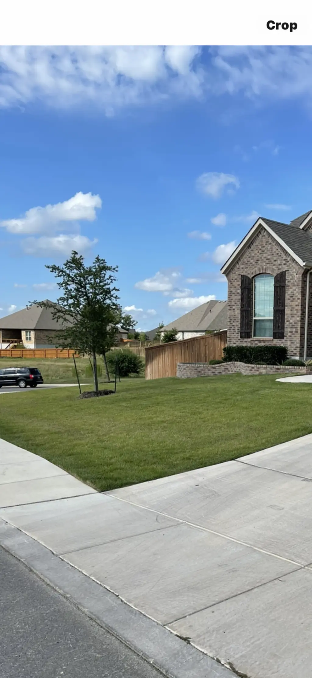 Lawn care services