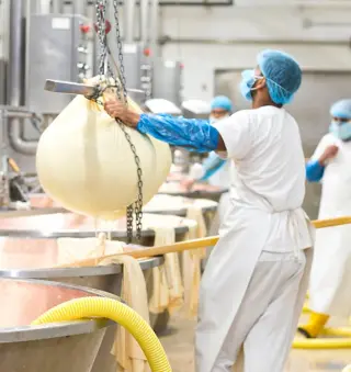 Trabajo General (Fabrica de Comida)- Pomona