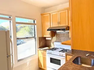 Property Owner.