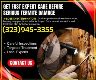 FUMIGACIONES - EXTERMINADORES MAYWOOD 24/7.-