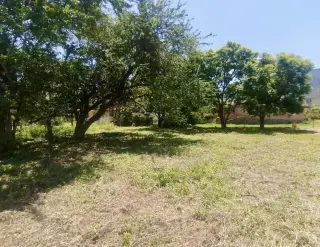 Puerto Corona