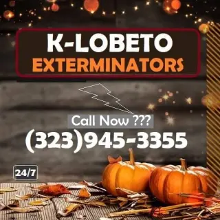 FUMIGACIONES 🦇 🎃 HALLOWEEN  🦇 🎃 24/7.~