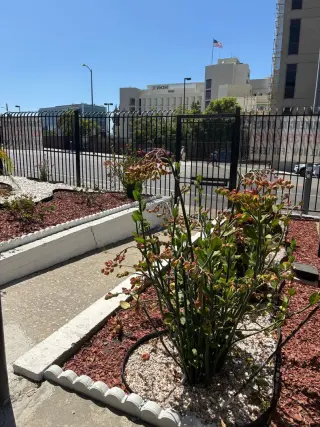 Suite de Oficinas con 4 Cuartos Privados $1,995 - 1,189 Pies