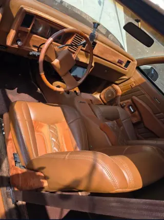 1981 Chevrolet Monte Carlo