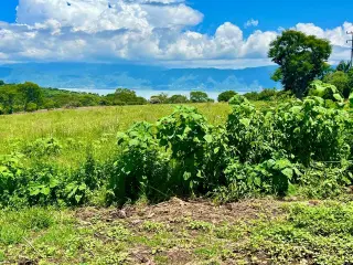 Great & Affordable, Lot A