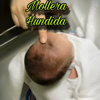 ASISTENCIA A SU DOMICILIO