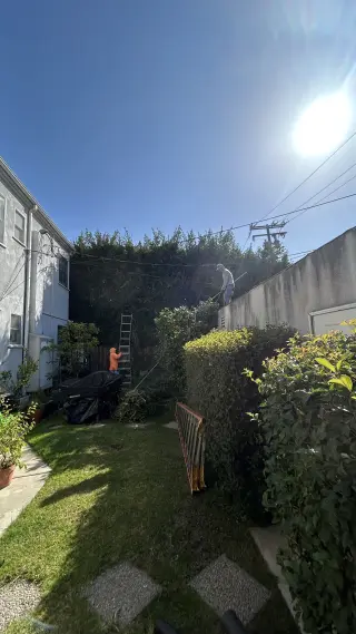 Se buscan Jardineros para mantenimiento