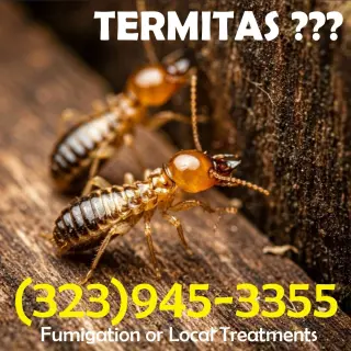 FUMIGACIONES LOCALES EN LOS ANGELES 24/7.-
