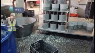 El ERROR en Pisos Industriales que destruye tu Planta