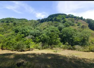Terreno en Venta con Vistas Impresionantes a las Montañas