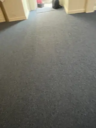 Pisos y carpetas