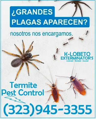 FUMIGADORES - EXTERMINADORES LOCALES CERCA DE USTED 24/7.-