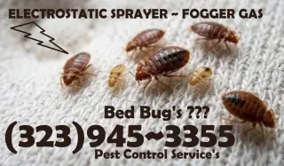 FUMIGACIONES 24/7 LOS ANGELES COUNTY